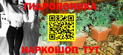 герыч Кингисепп