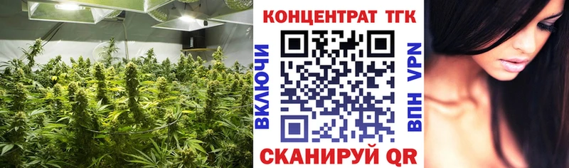 hydra tor Севастополь ТГК THC oil