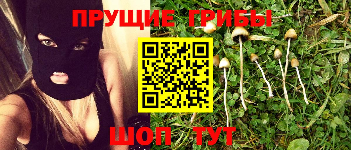 Псилоцибиновые грибы ЛСД Севастополь