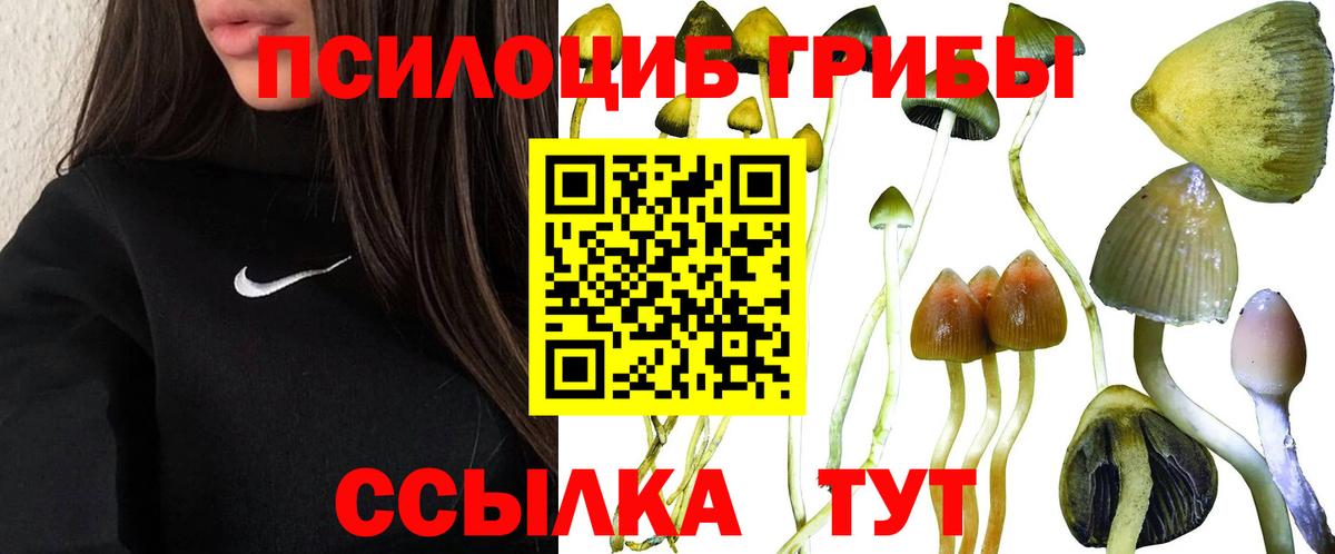 Галлюциногенные грибы мухоморы  Вход с VPN  Севастополь 